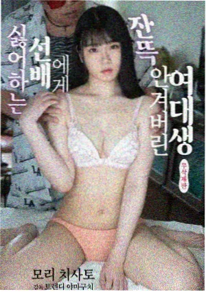 动漫之家封面